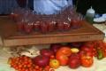 Arturo Moscoso at the Carmel Tomato Fest 2007